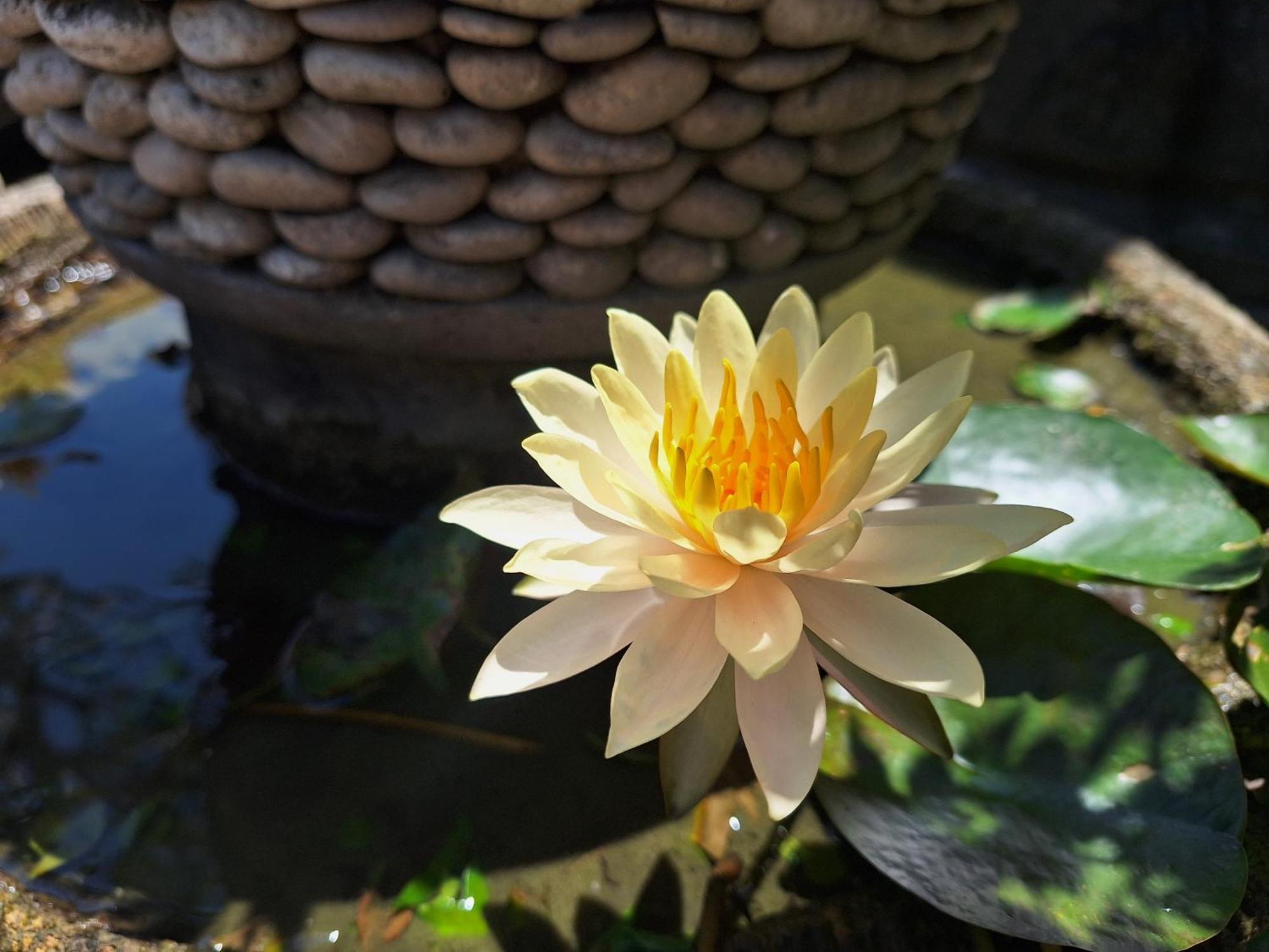 Villa Mandox Bali Ungasan
